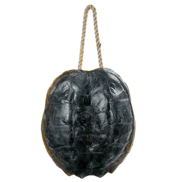 Regina Andrew Design Turtle Shell Accessory - Trovati