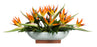 Orange Bird of Paradise in White Oval Pot | Botanicals | Trovati Studio