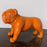 Bulldog Sculpture | Gold Leaf Design | Trovati Studio | Orange