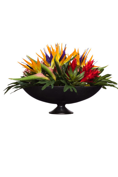 Tropicals in Black Metal Oval Bowl | Botanicals | Trovati Studio