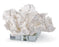 Regina Andrew Design White Cabbage Coral on Crystal
