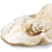 Imperial Clam (Large)