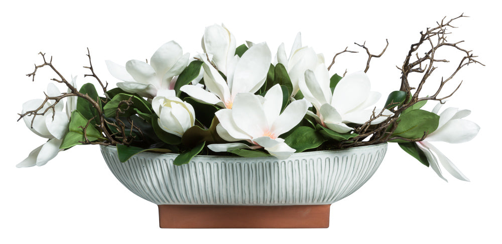 Magnolia in White Oval Pot | Botanicals | Trovati Studio