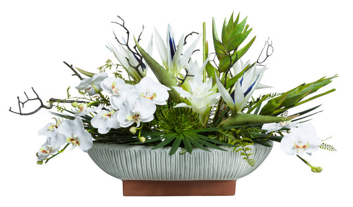 White Exotics & Orchids in White Oval Pot | Botanicals | Trovati Studio