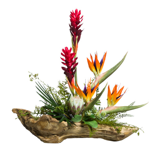 Tropical Flowers on Wood Branch | Botanicals | Trovati Studio