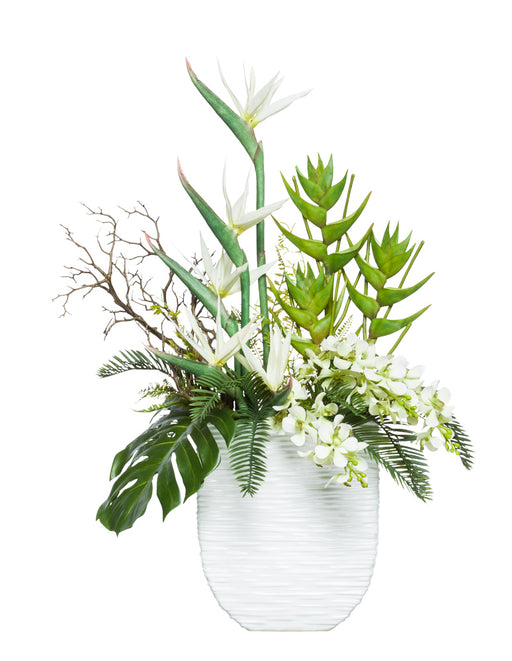 Mixed White Tropicals in White Vase | Botanicals | Trovati Studio