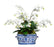 White Orchids in Blue & White Pot | Botanicals | Trovati Studio