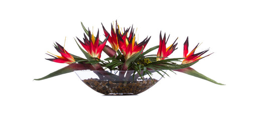 Red Bird of Paradise & Rapis in Small Glass Boat | Botanicals | Trovati Studio