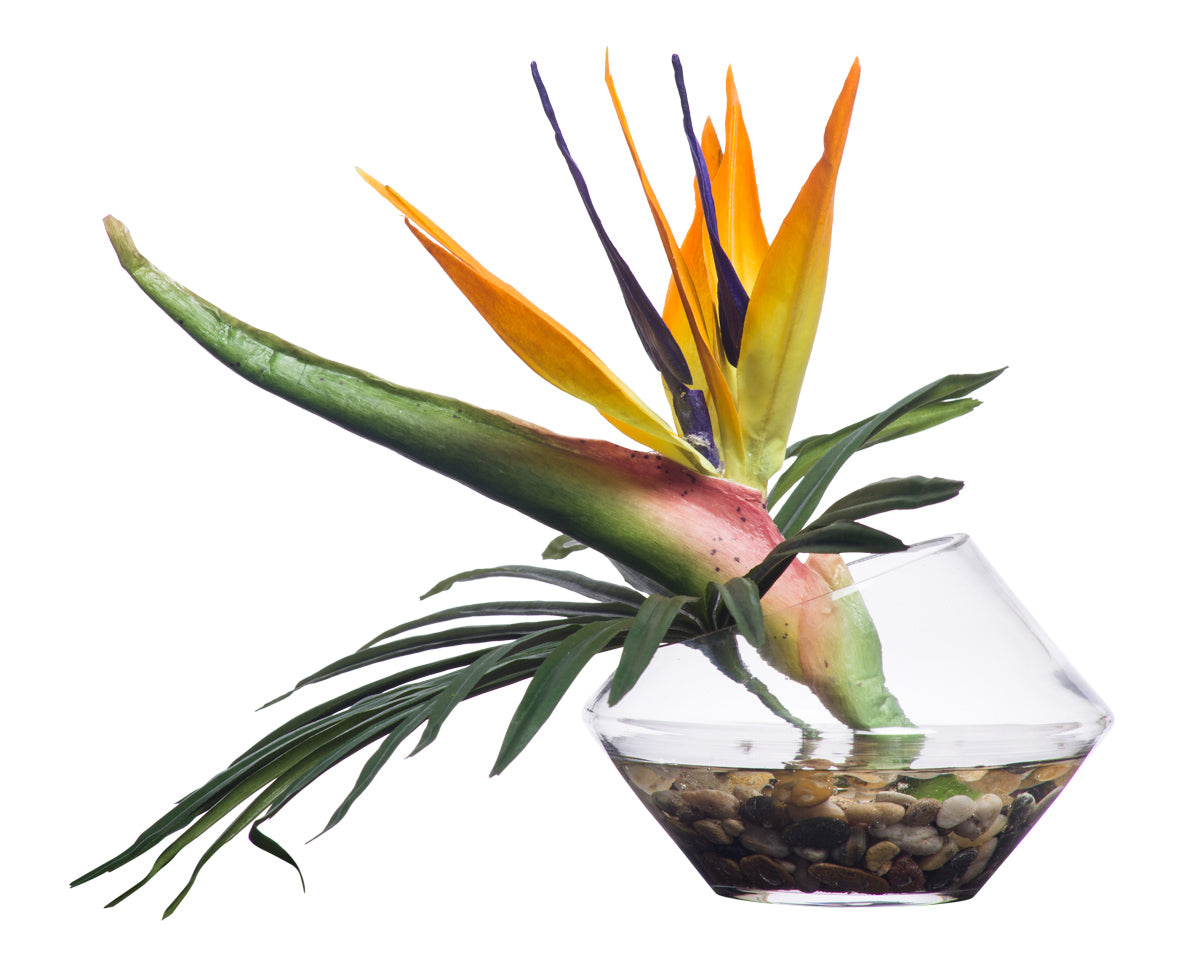 Orange Bird of Paradise / Rahis Leaf Arrangement | Botanicals | Trovati Studio