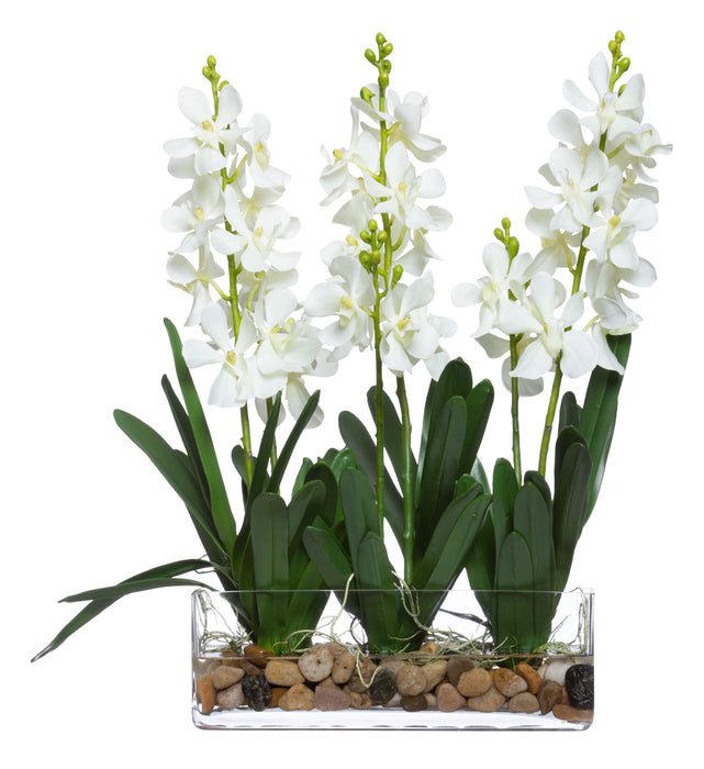 White Vanda Orchid in Glass Rectangle | Botanicals | Trovati Studio