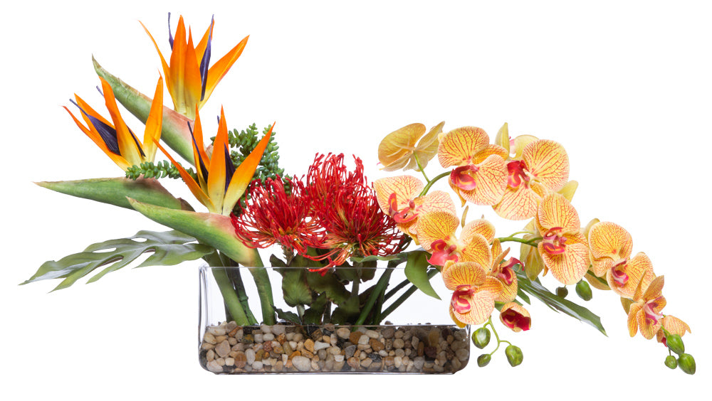 Tropical Protea / Orchid Botanical Arrangement | Trovati Studio