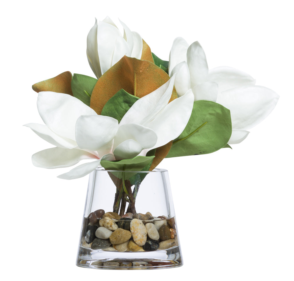 Magnolia Blossoms | Botanicals | Trovati Studio