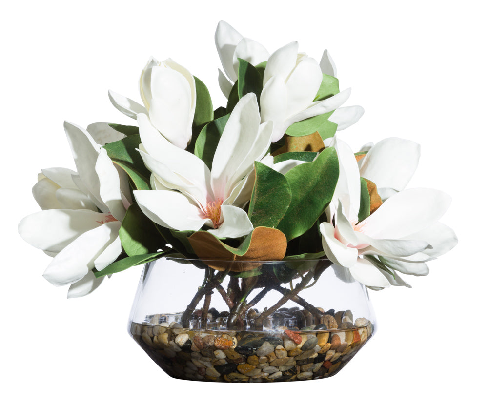Magnolia in Clear Vase | Botanicals | Trovati Studio