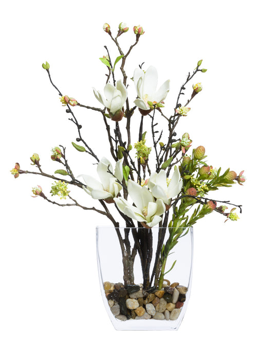 Magnolia Budding Branches | Botanicals | Trovati Studio