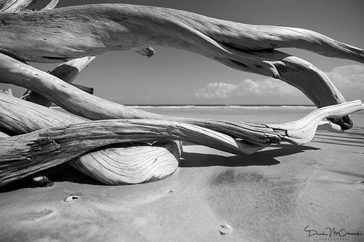 Ocean Window - Photo Print - Palm Valley Imaging | Trovati Studio - B&W