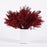 Princess Pine (Red) | Seasonal Decor | Trovati Studio