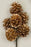 Golden Pinecones Floral Pick | Seasonal Decor | Trovati Studio