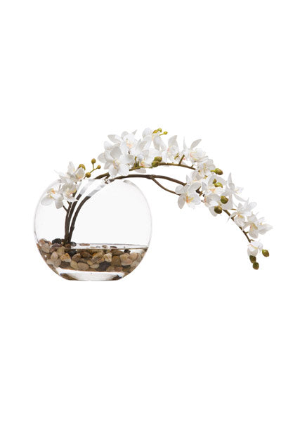 White Mini Orchid Botanical in Round Bowl | Trovati Studio