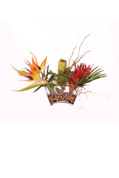 Bird of Paridise / Ginger / Protea Botanical | Trovati Studio