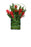 Red Ginger Horsetail Botanical | Tropicals | Trovati Studio